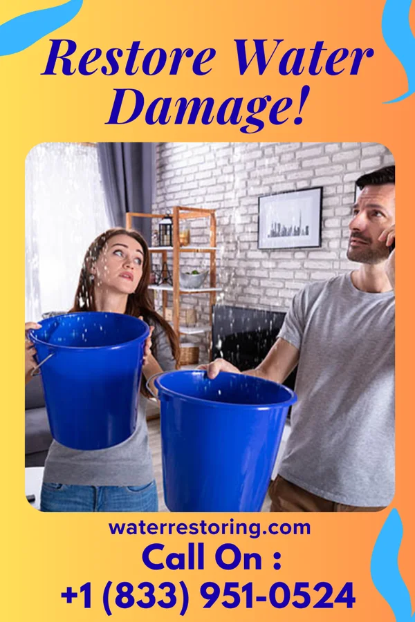 water restoration Rapid Recovery Professionals Matamoras