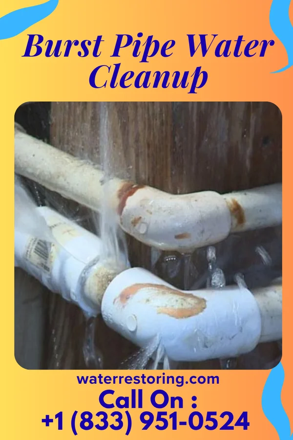 Burst Pipe Water Cleanup in Matamoras, OH