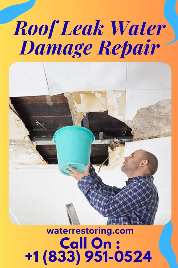 Roof Leak Water Damage Repair in Matamoras, OH